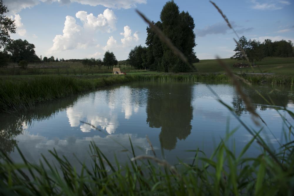 U Harrego Ii Przy Stawie Klimatyzacja,balkon,sauna , Balia, Ogrod,parking *