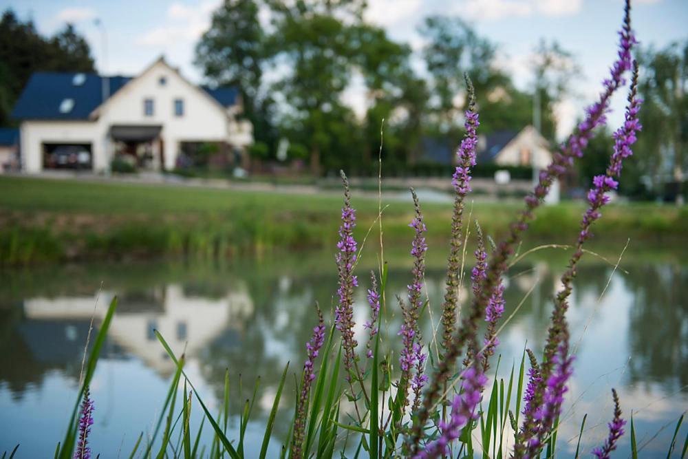 U Harrego Ii Przy Stawie Klimatyzacja,balkon,sauna , Balia, Ogrod,parking Apartment Kudowa Zdroj